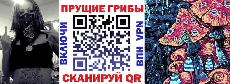 Купить закладки  Гвардейск  Галлюциногенные грибы прущие грибы 
