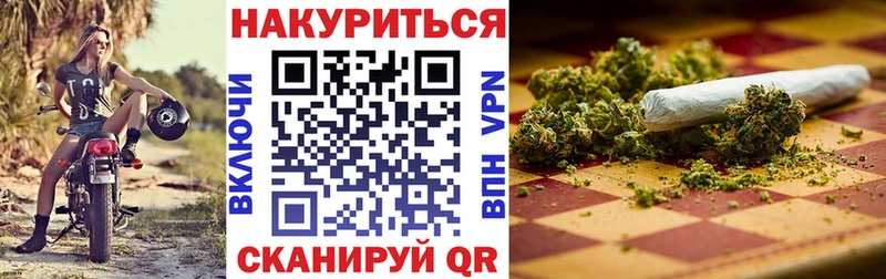 Бошки Шишки семена  Купить закладки  Гвардейск 